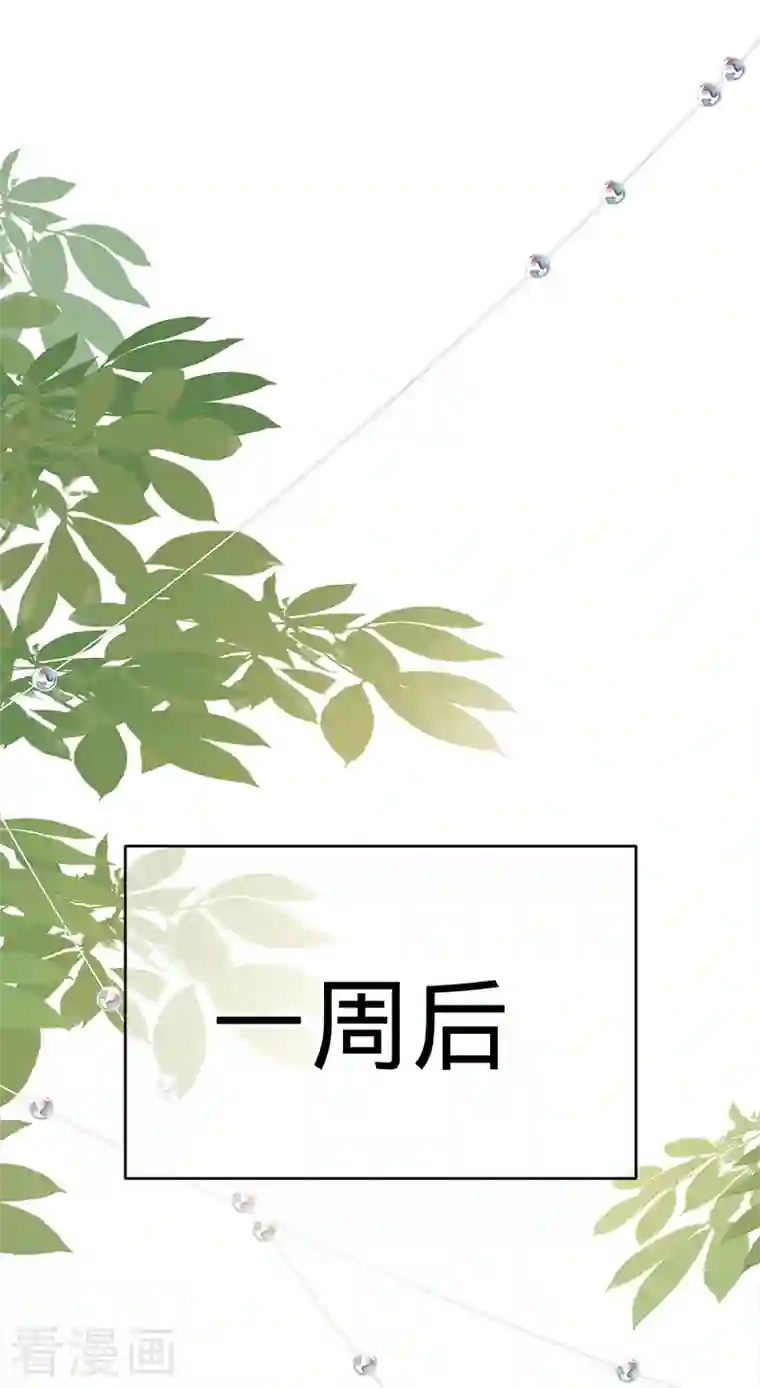 以婚之名第99话 迈向幸福的第一步