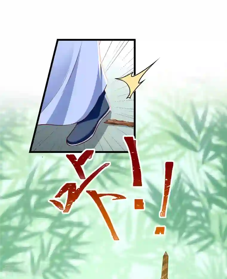 王妃是朵白莲花第64话 刺客是皇帝的人？！