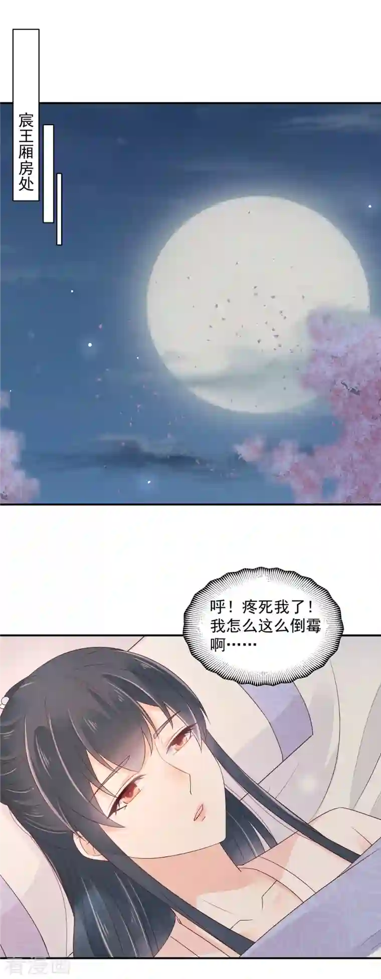 神偷王妃：我家王爷惹不起第42话 伤害她的人一个都别放过