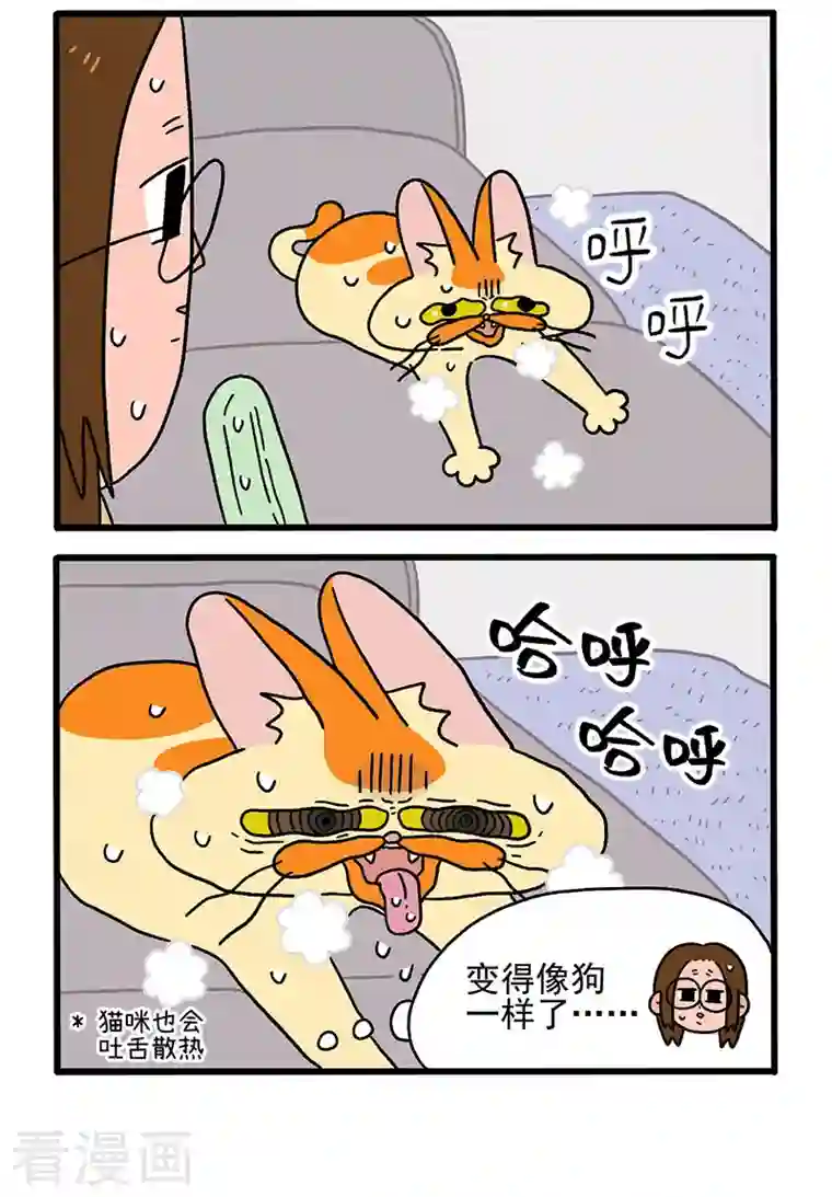 阿满和麦茶第28话 电风扇