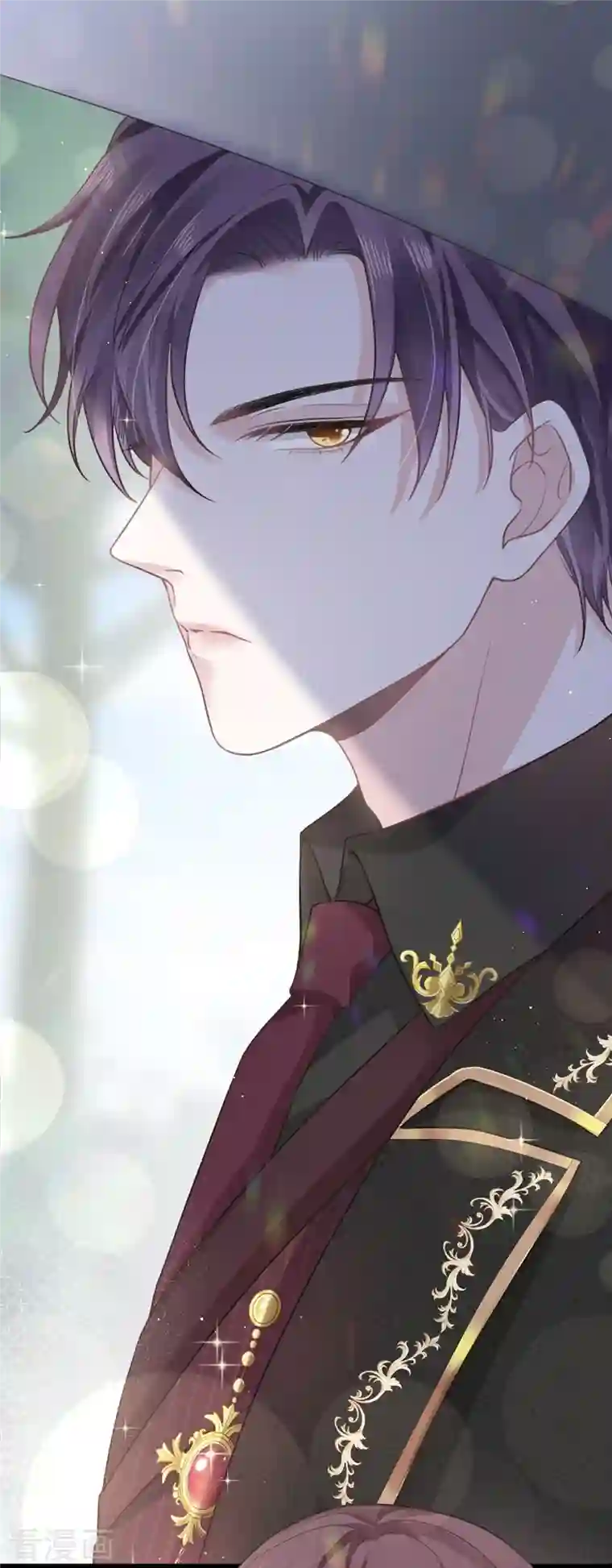 重生成血族总裁的小甜点第2话 神秘的男人