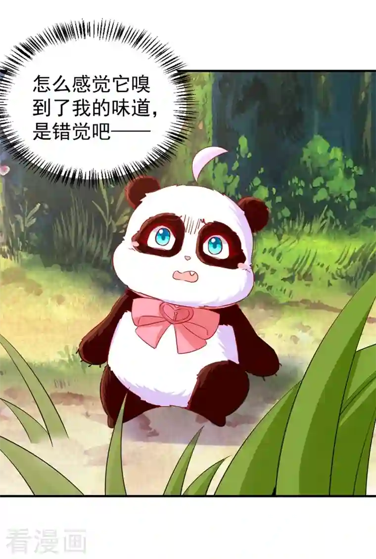 萌妃来袭：天降熊猫求抱抱现代篇103 还好赶上了！