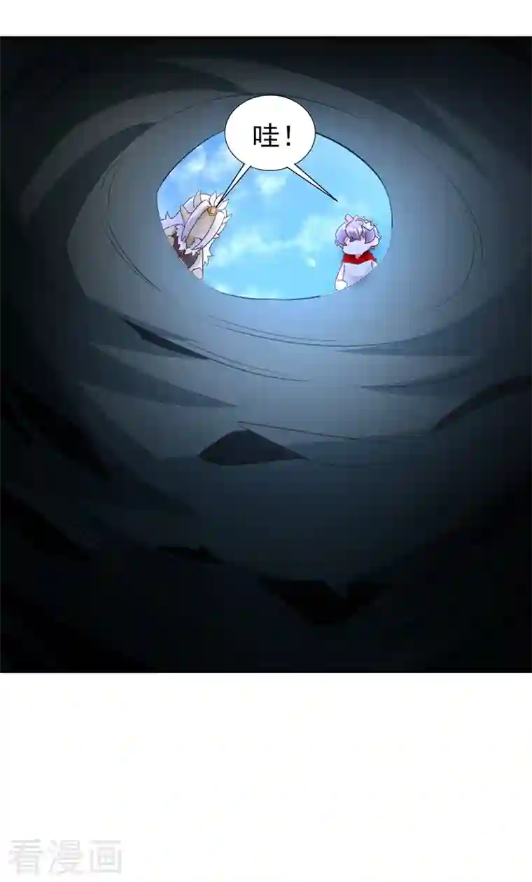 萌妃来袭：天降熊猫求抱抱现代篇103 还好赶上了！