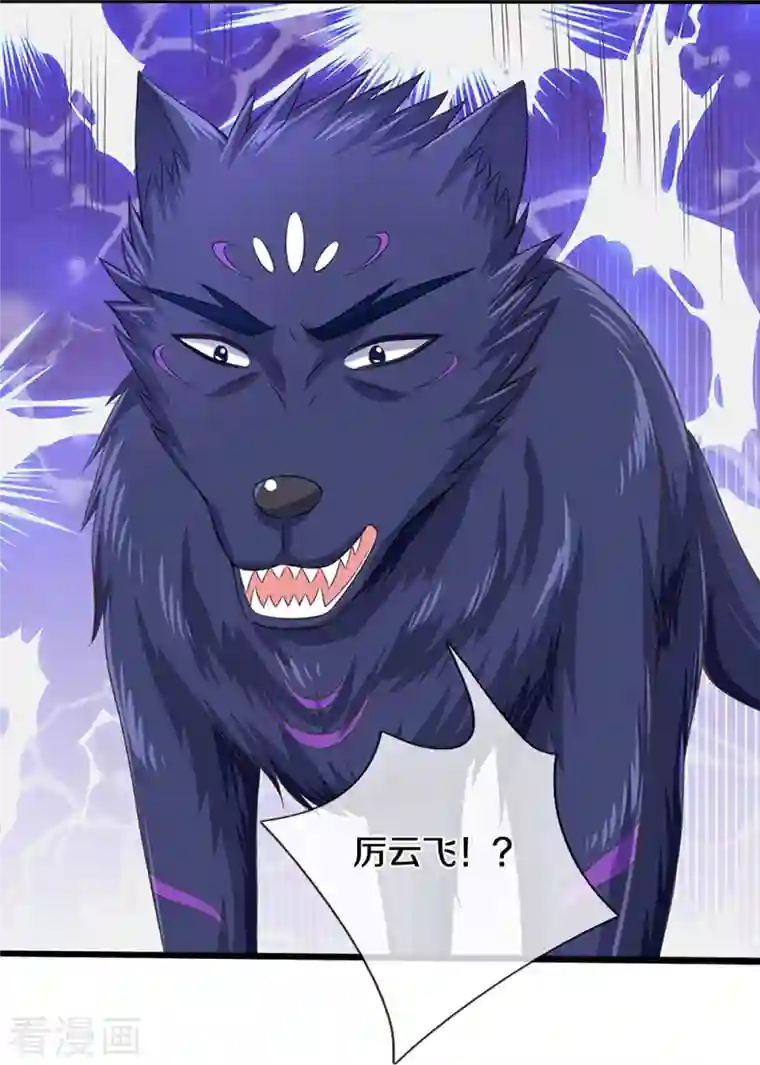 神武天尊第366话 厉云飞的影子