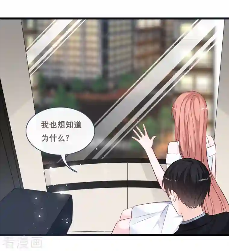 总裁爹地追上门第160话 浪漫一夜