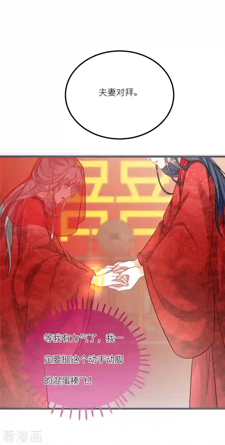 穿越到春秋男校当团宠第125话 成亲