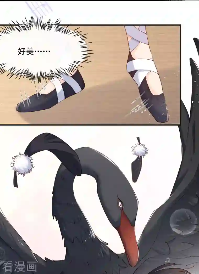 陆总，你老婆又上热搜啦！第53话 优雅的黑天鹅