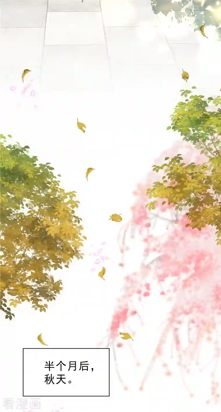 星光璀璨：捡个boss做老公第50话 唯有你让我放心不下