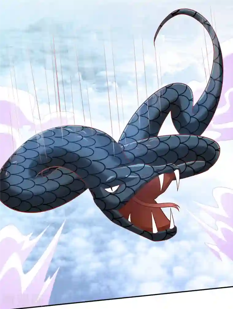 蛇王的娇妻第31话 星星，我不要