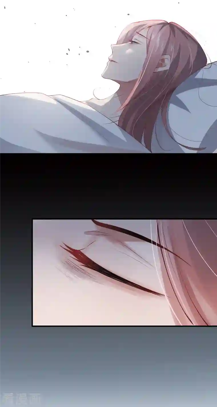 吾本是猫第20话 前往日福城