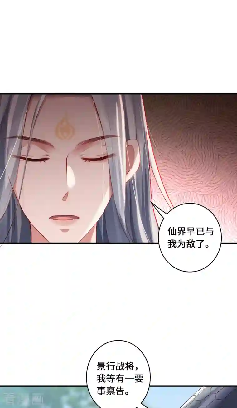 吾本是猫第20话 前往日福城