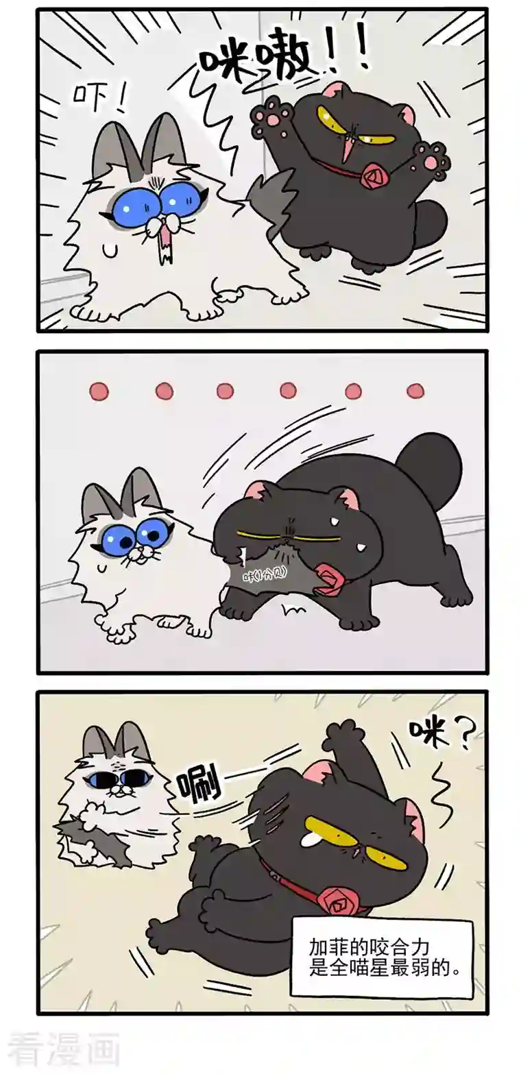 阿满和麦茶第31话2 富贵革命2