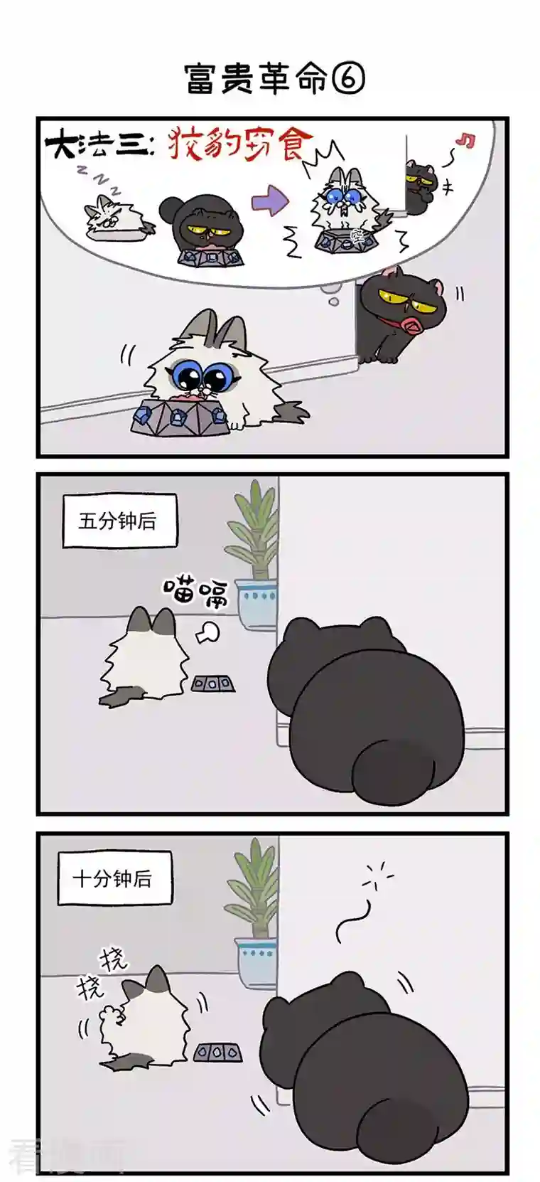 阿满和麦茶第31话2 富贵革命2