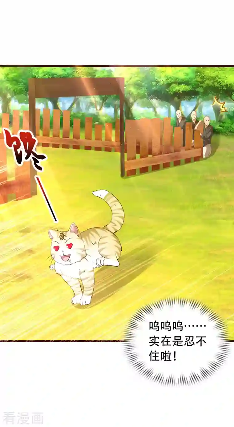 科技大仙宗第26话 光头抬棺乐队演奏会