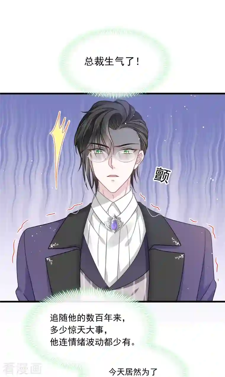 重生成血族总裁的小甜点第13话 打得就是你的脸