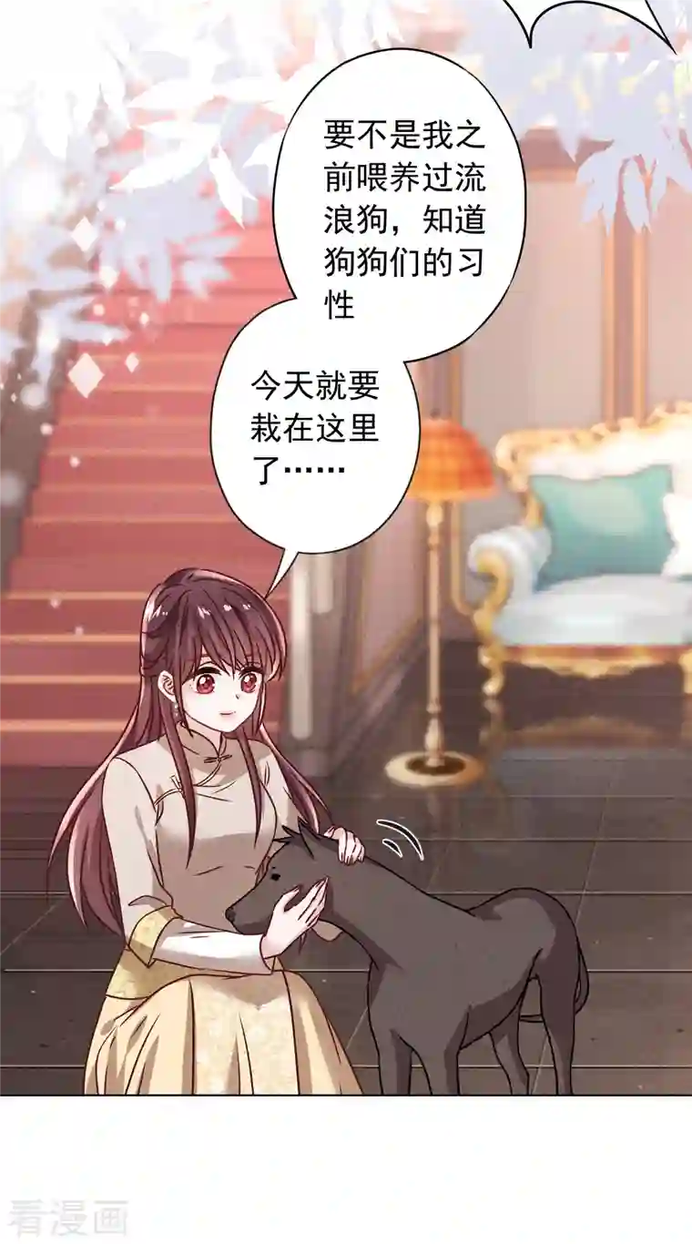 少帅,你老婆要翻天!第180话 谁才是女主人