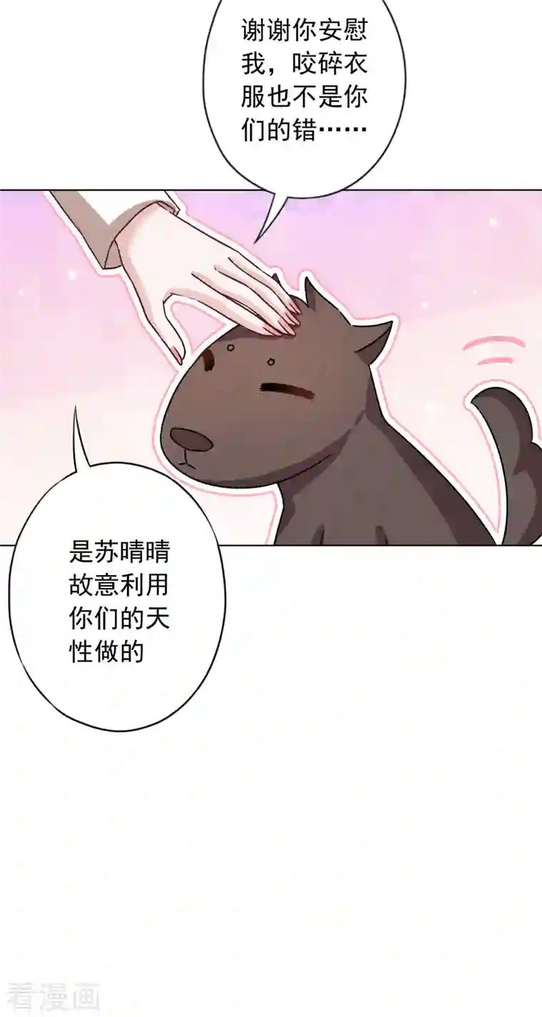 少帅,你老婆要翻天!第180话 谁才是女主人