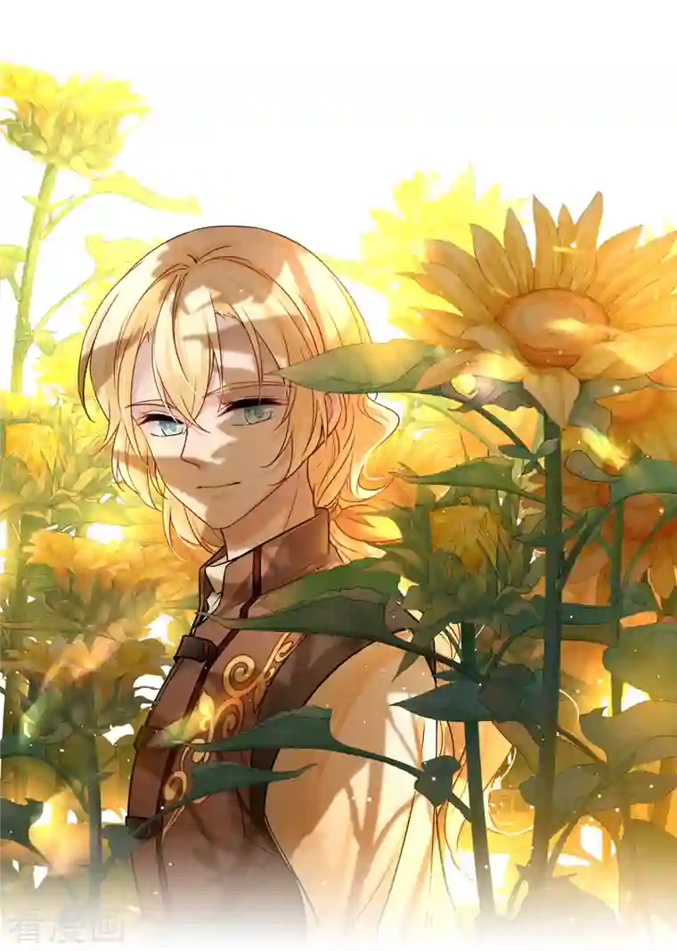 寻找前世之旅第2季第81话 圣城耶路撒冷1