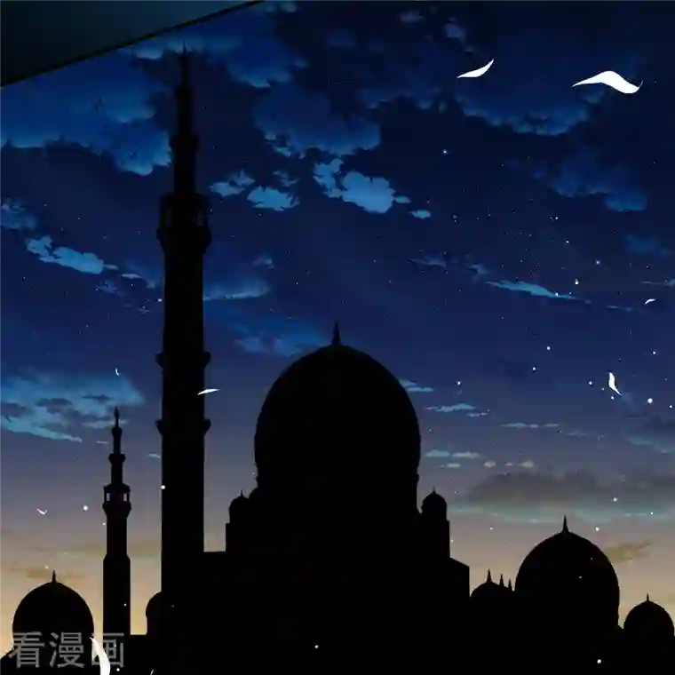 寻找前世之旅第2季第82话 圣城耶路撒冷2