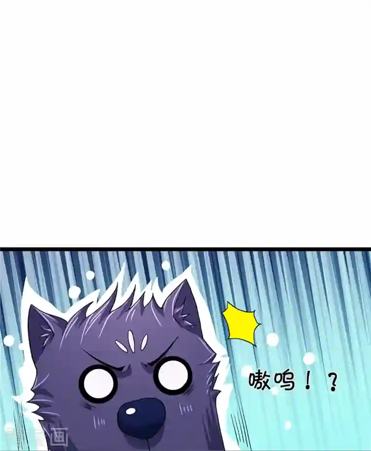 神武天尊第368话 都是你的