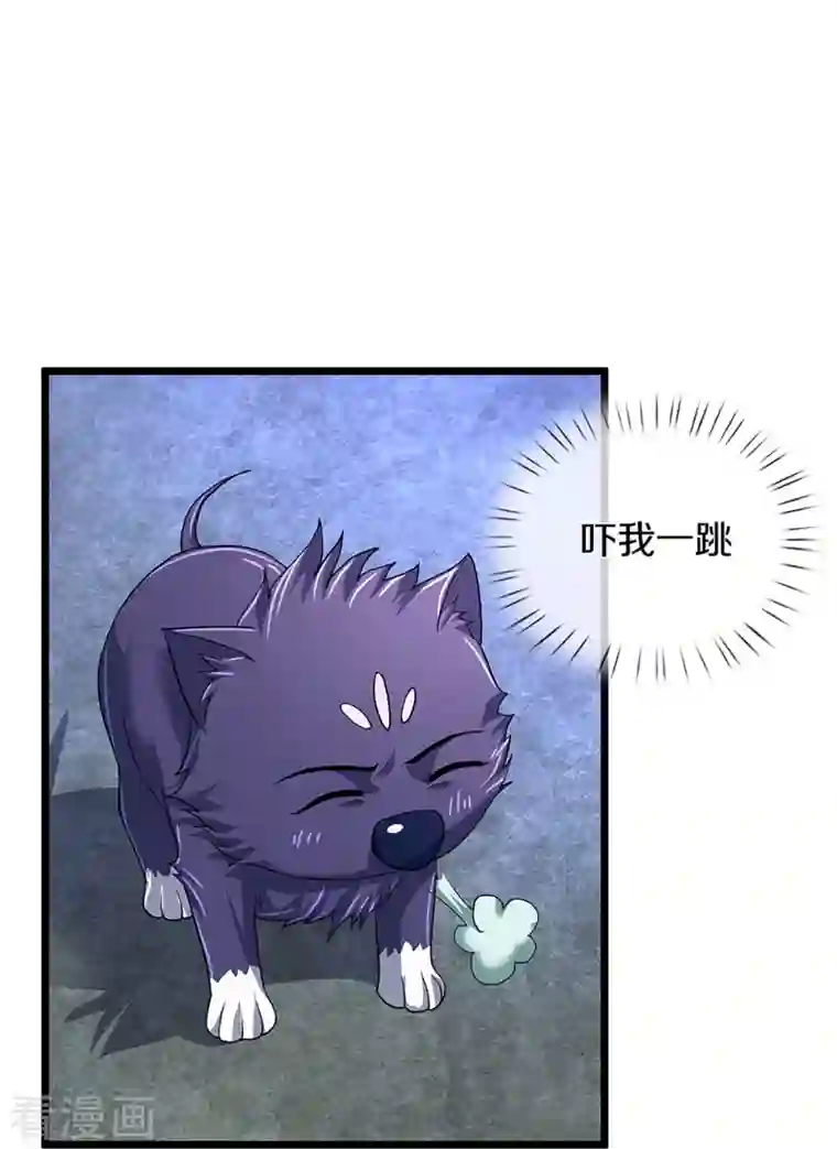 神武天尊第368话 都是你的