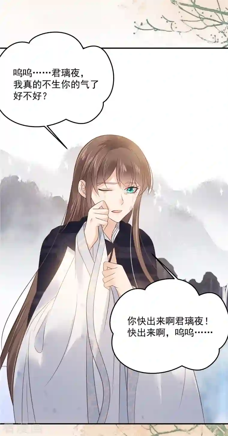 傲娇邪王宠入骨第154话 夺走我的心你却走了