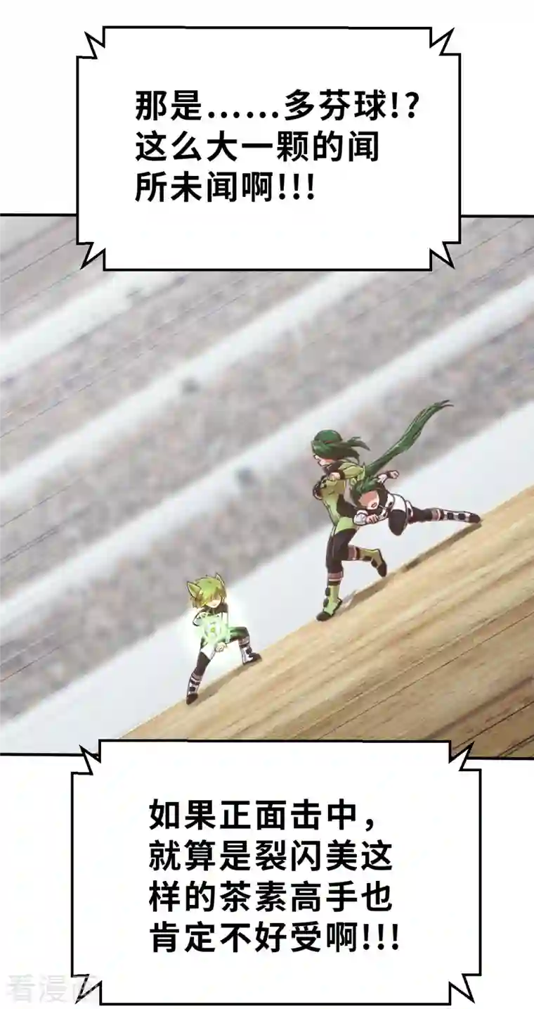 茶叶少女第142话 战事明朗1