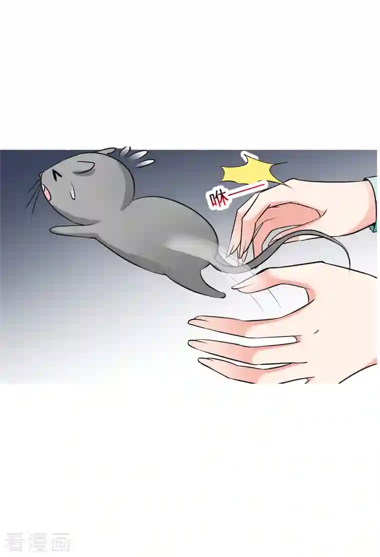 妃夕妍雪第2季第5话 吃不了兜着走！1