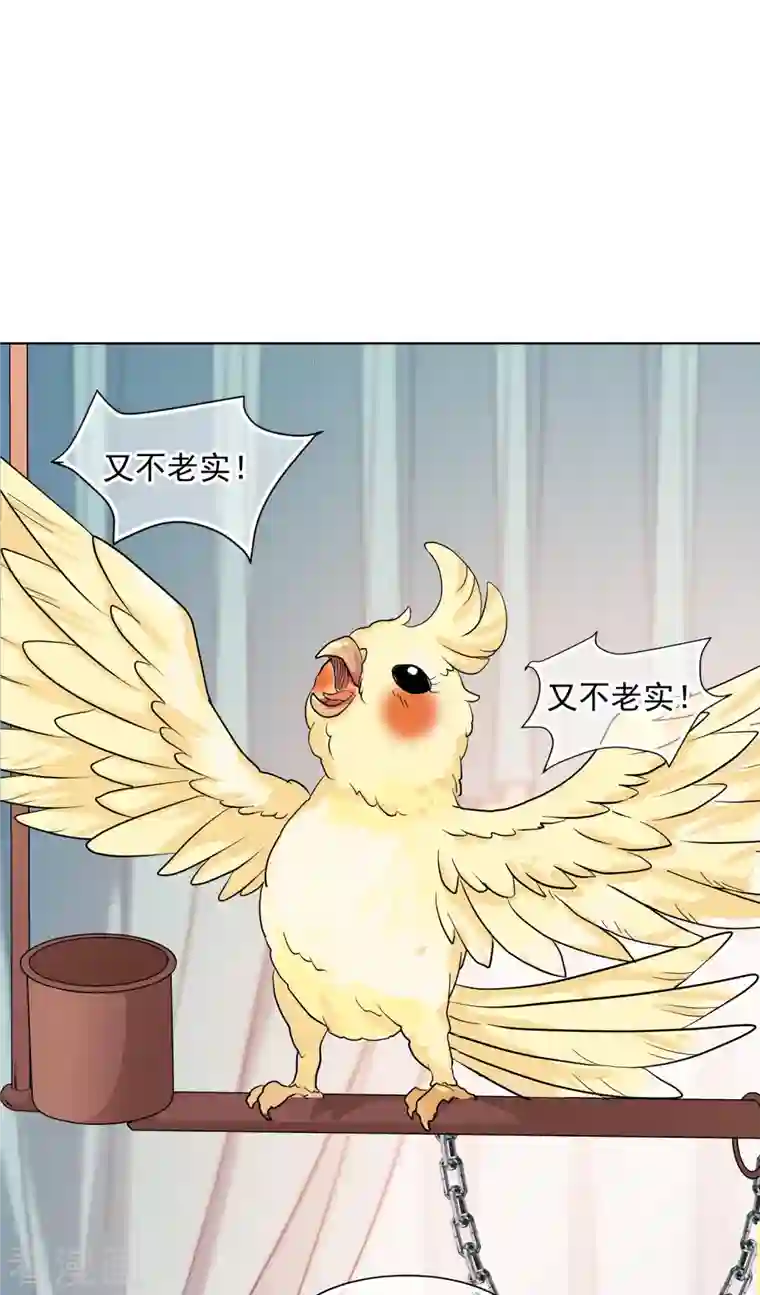 妃夕妍雪第2季第9话 我是南辰国皇后？2