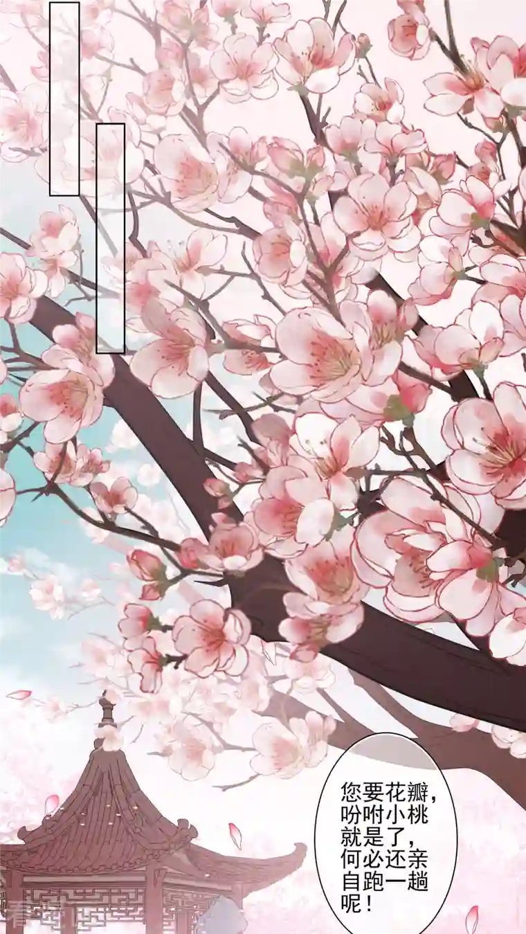 妃夕妍雪第2季第14话 香灰4