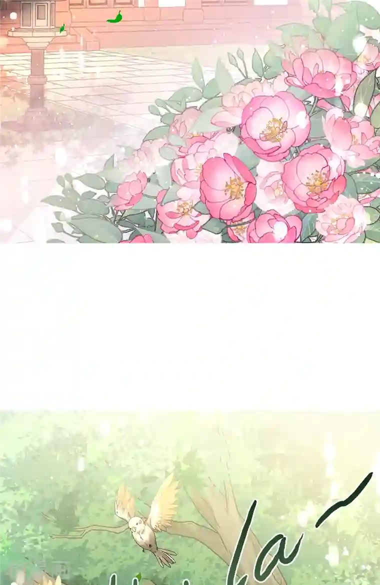 妃夕妍雪第2季第14话 香灰4