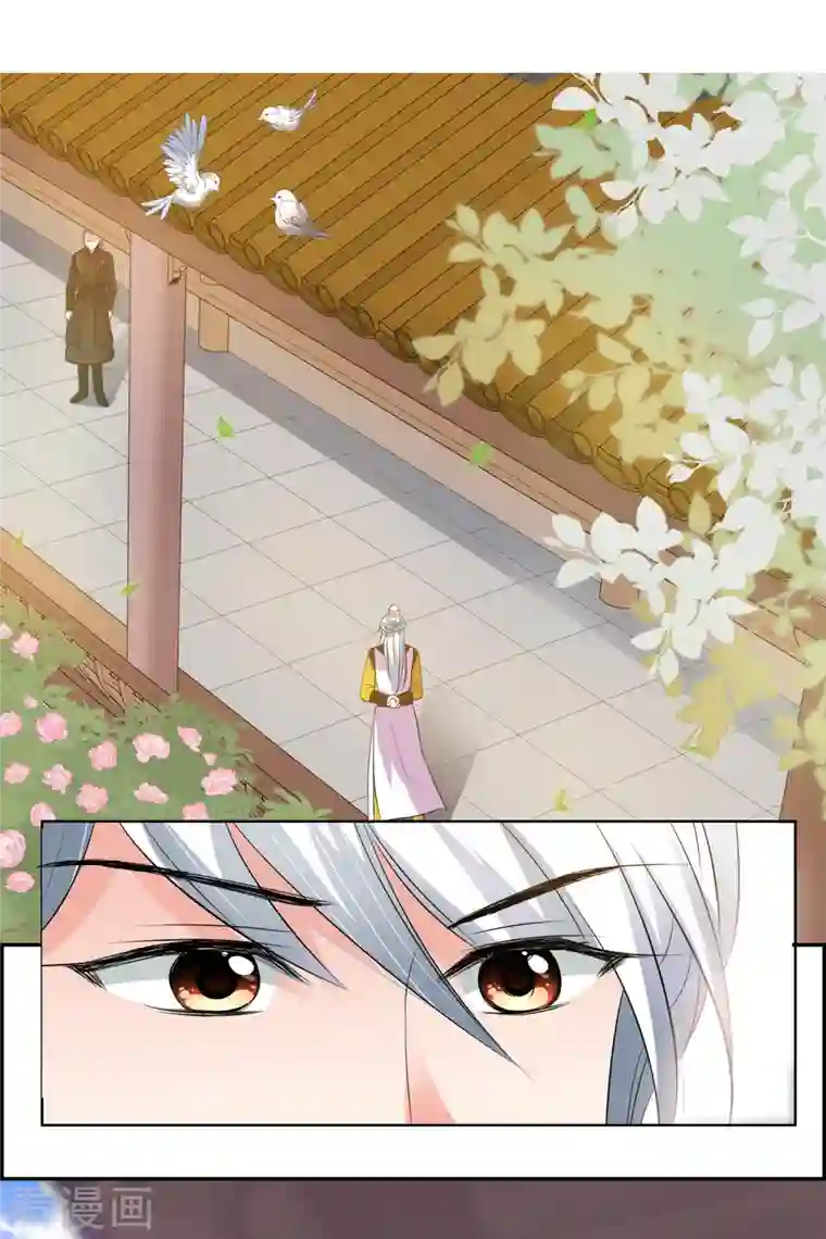 妃夕妍雪第2季第22话 就地取材1