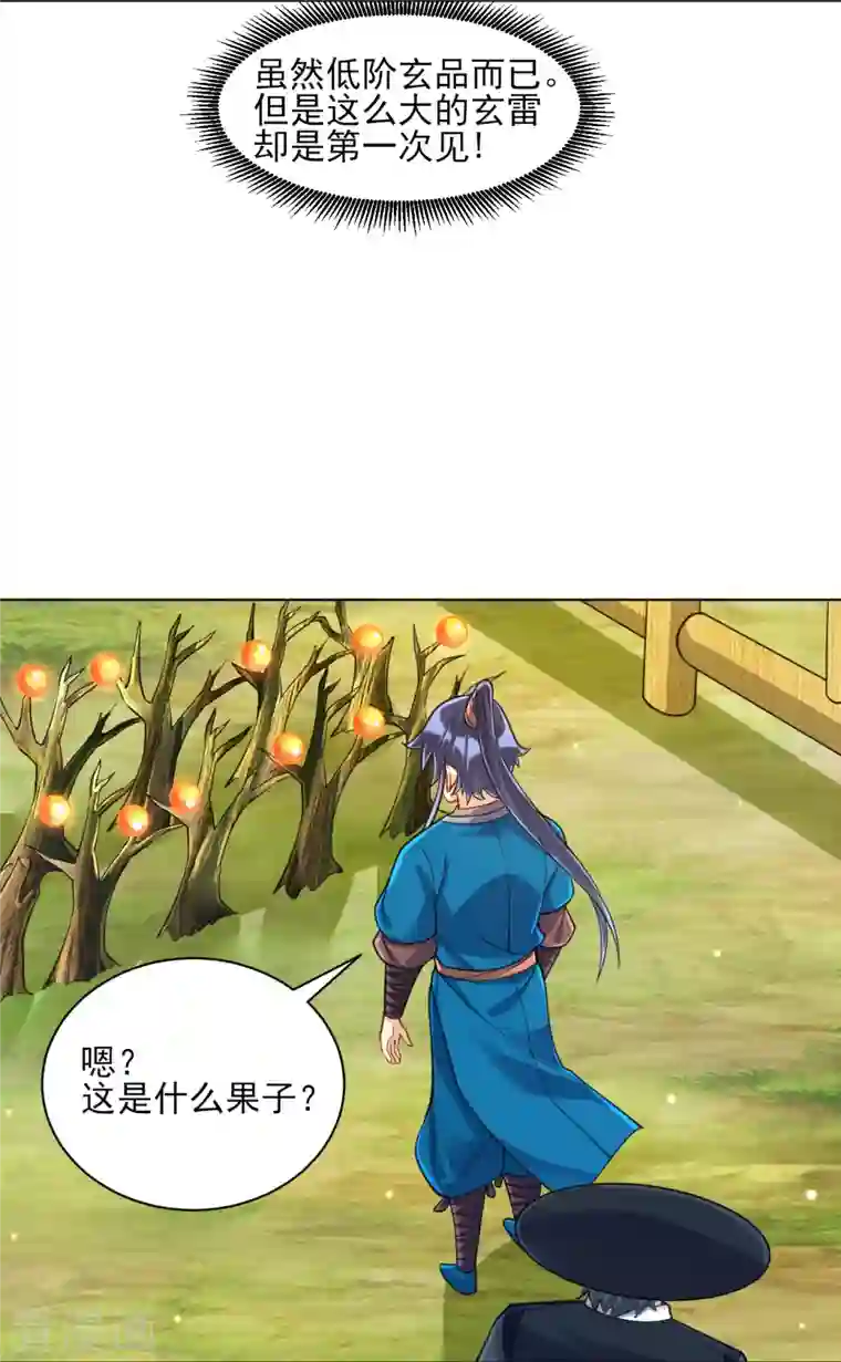 一等家丁第268话 木灵果