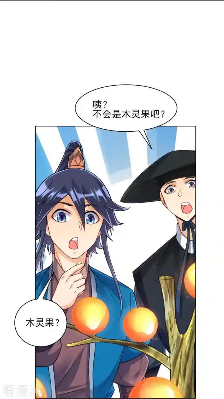 一等家丁第268话 木灵果
