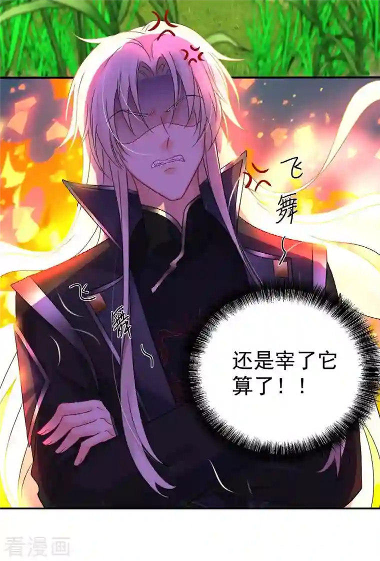 我在异界养男神：神医九小姐第130话 灵玉之髓