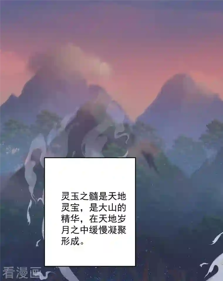 我在异界养男神：神医九小姐第130话 灵玉之髓