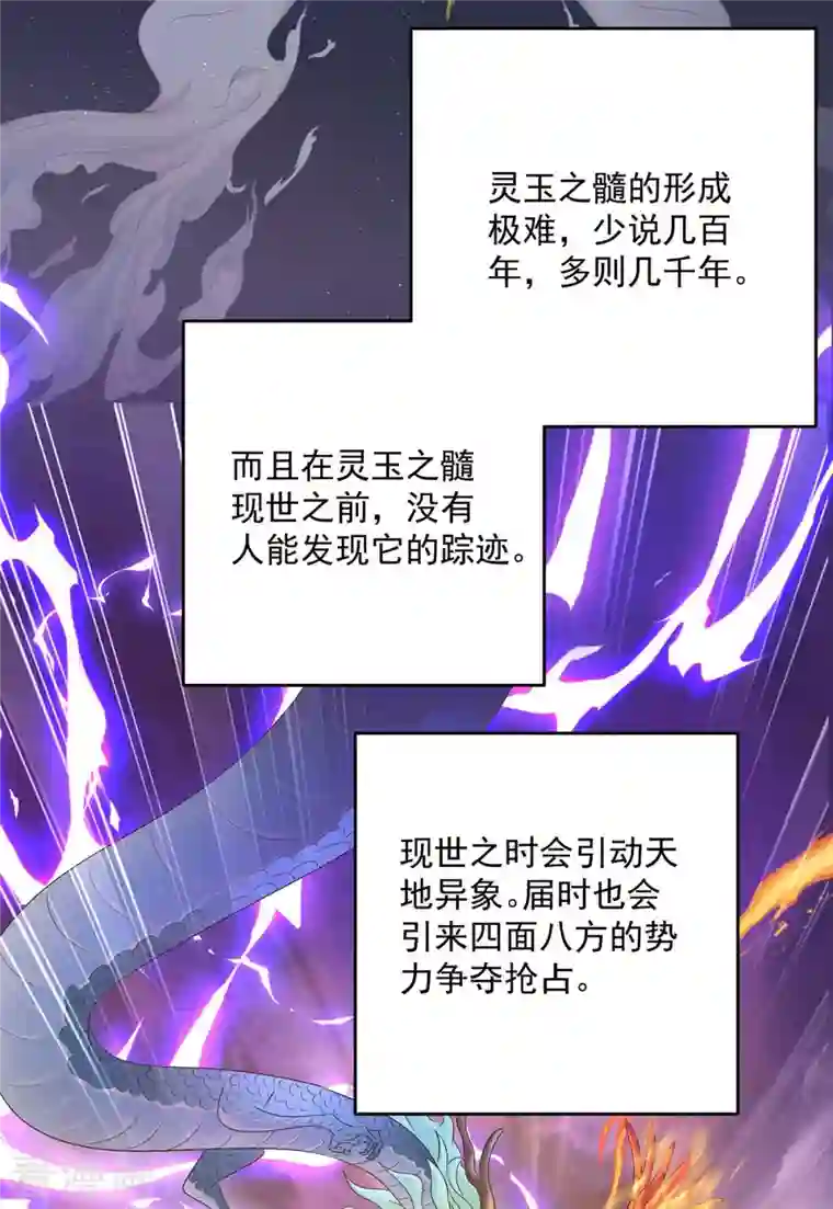 我在异界养男神：神医九小姐第130话 灵玉之髓