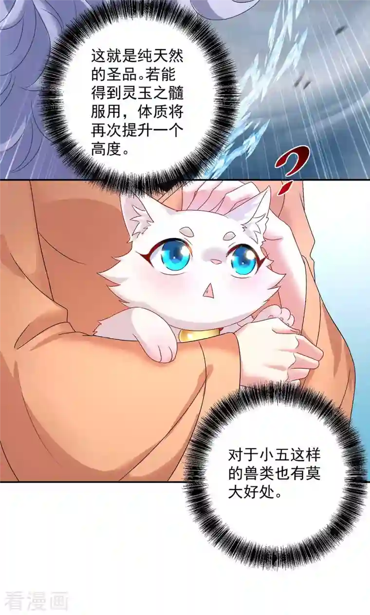 我在异界养男神：神医九小姐第130话 灵玉之髓