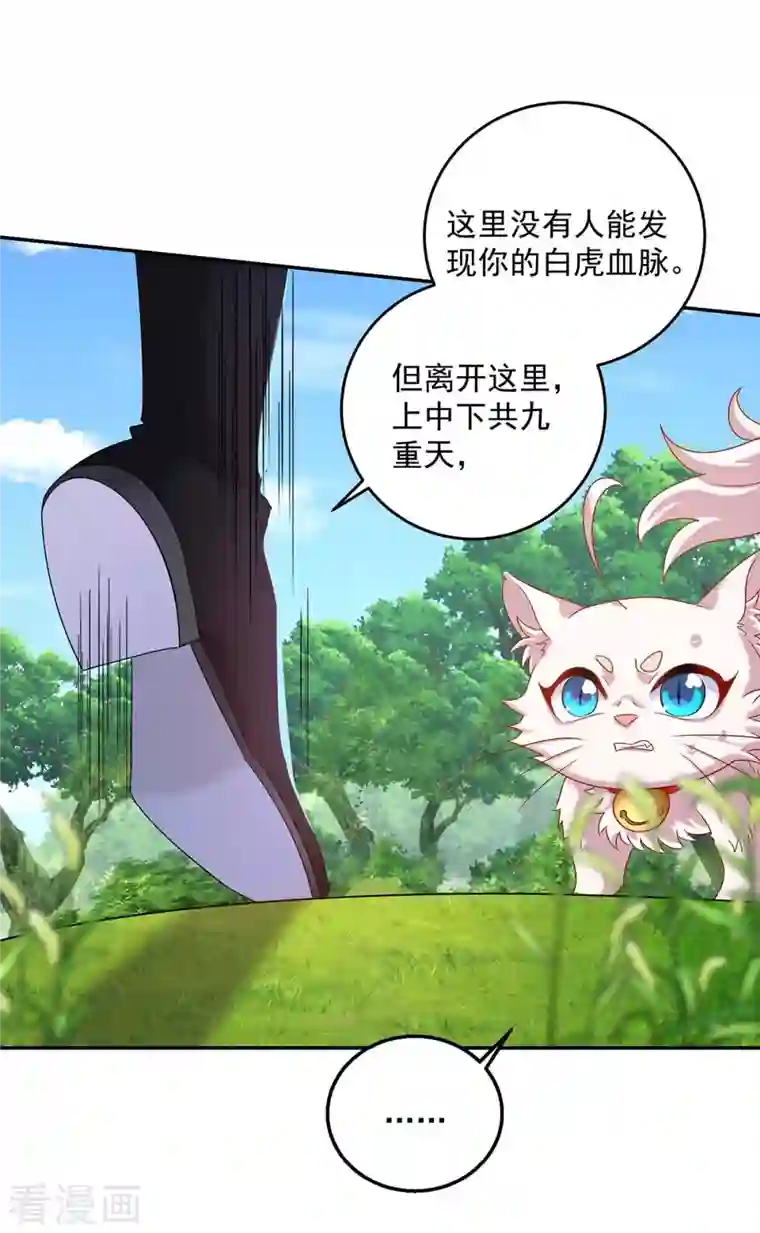 我在异界养男神：神医九小姐第130话 灵玉之髓