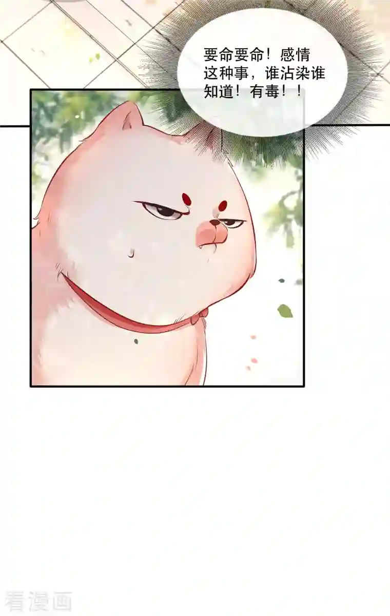 这个王妃路子野第104话 您何时能回来？