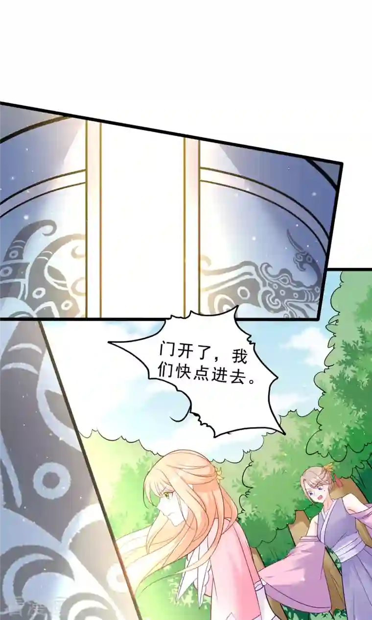 特工狂妃最终话 完结章