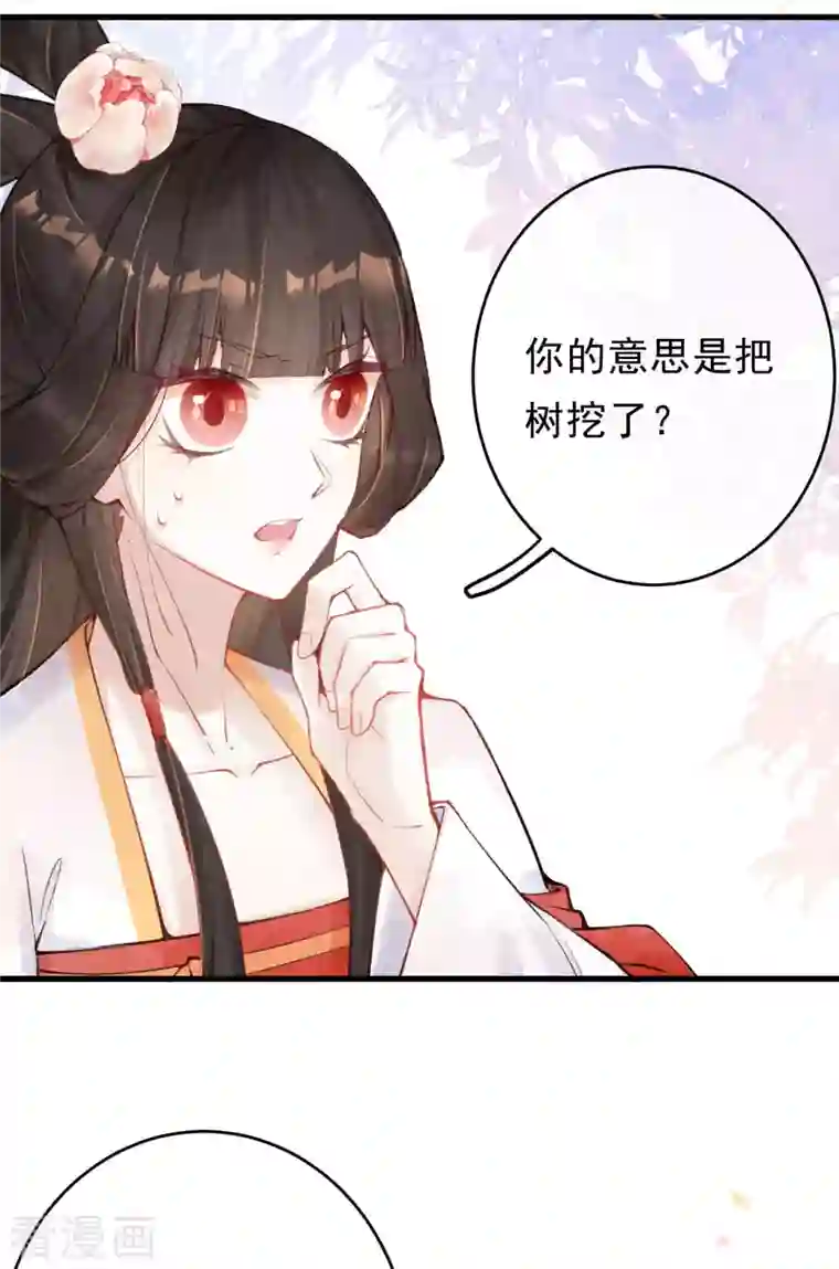 一念合欢为君开第33话 合欢树下的宝物