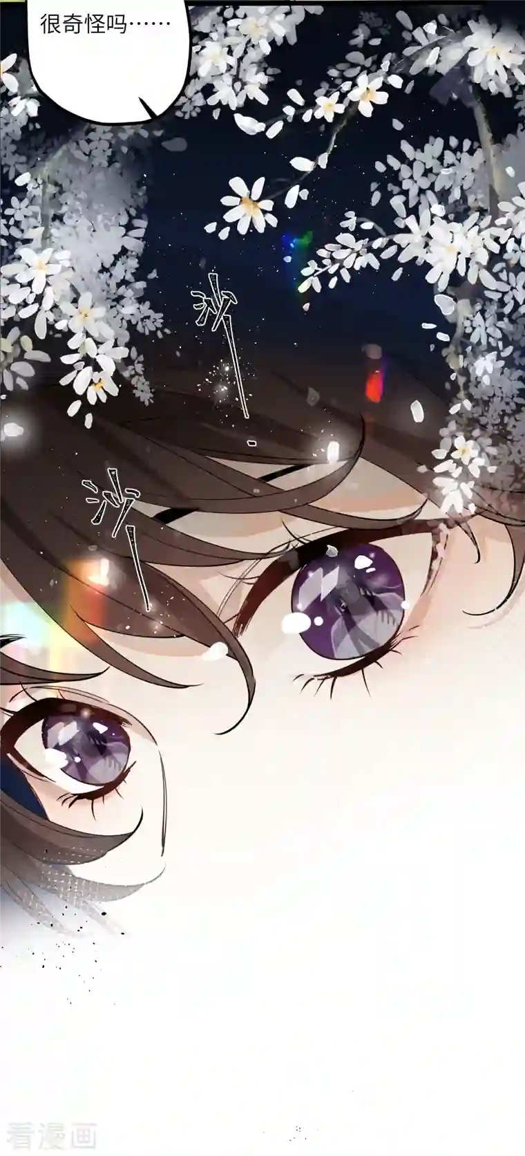 炮灰公主想苟到最后第41话 二毛的烦恼