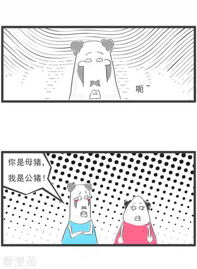 火锅家族第四季第144话 两只猪