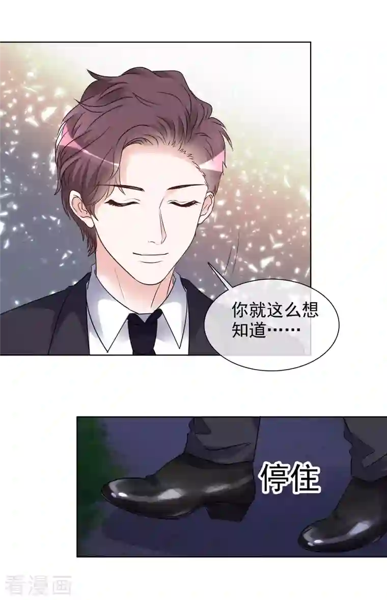 重生后靠脸混娱乐圈第164-165话 浪漫告白