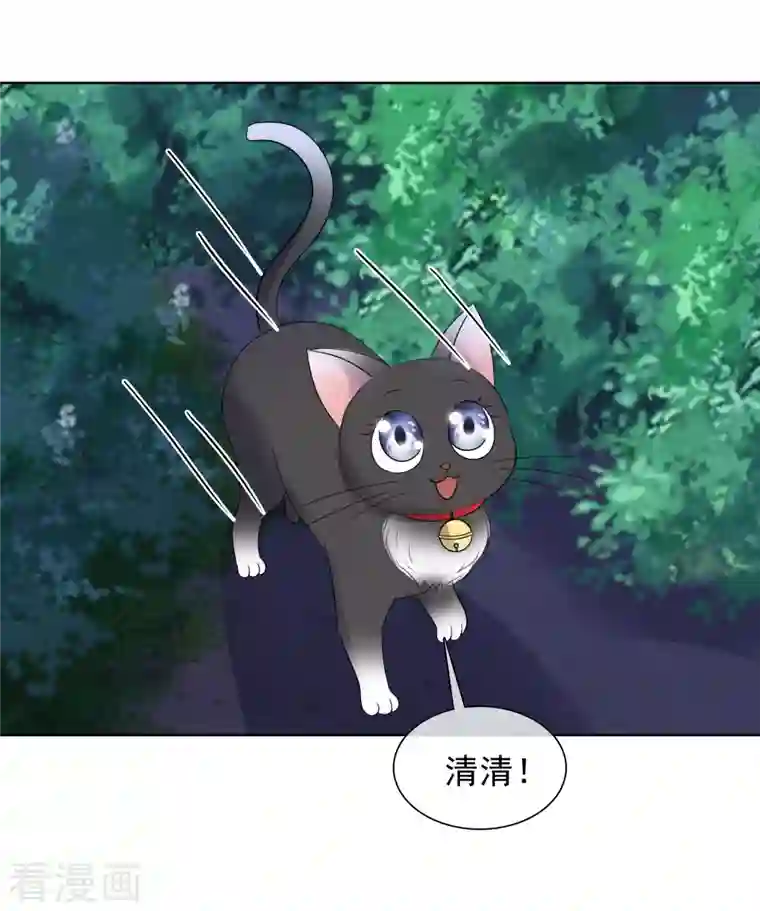 重生后靠脸混娱乐圈第166-167话 楚墨受伤