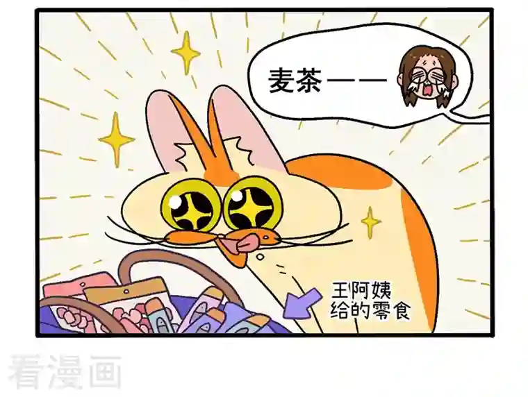 阿满和麦茶第34话1 阿满临行前