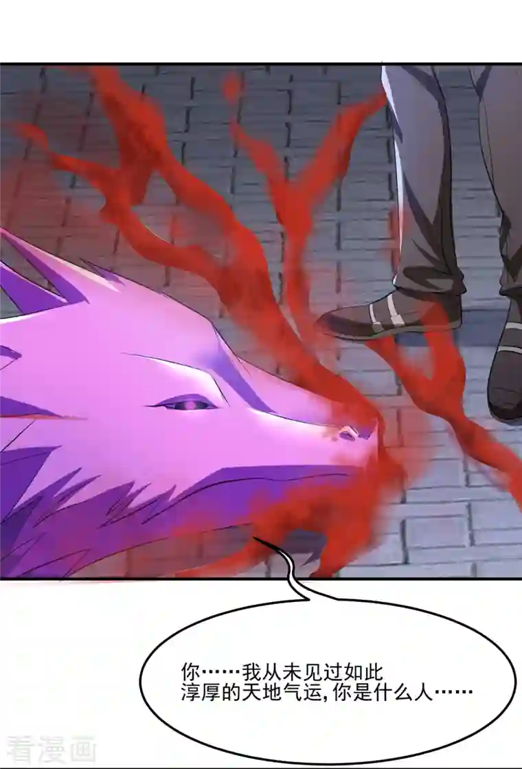 女总裁的贴身神医第40话 刘锡麟，你有种！