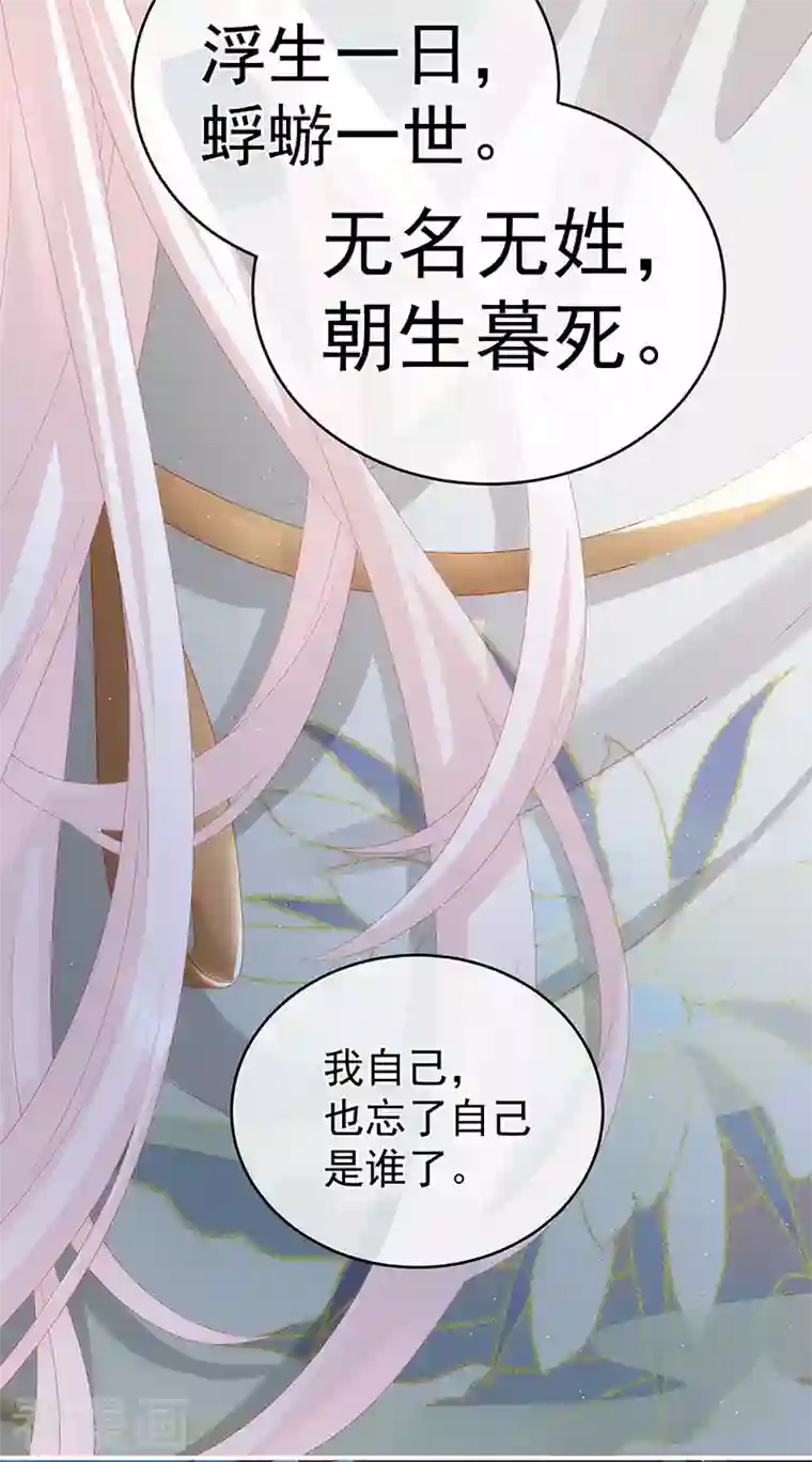 娇夫有喜第31话 笼中鸟