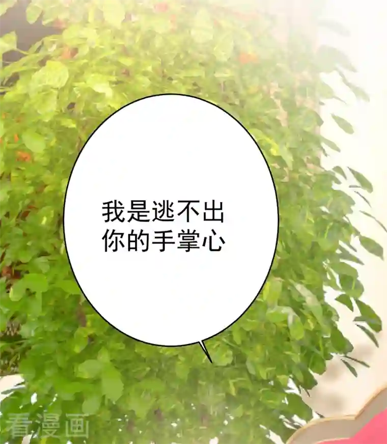 我的男人是个偏执狂第301话 一个月试恋爱